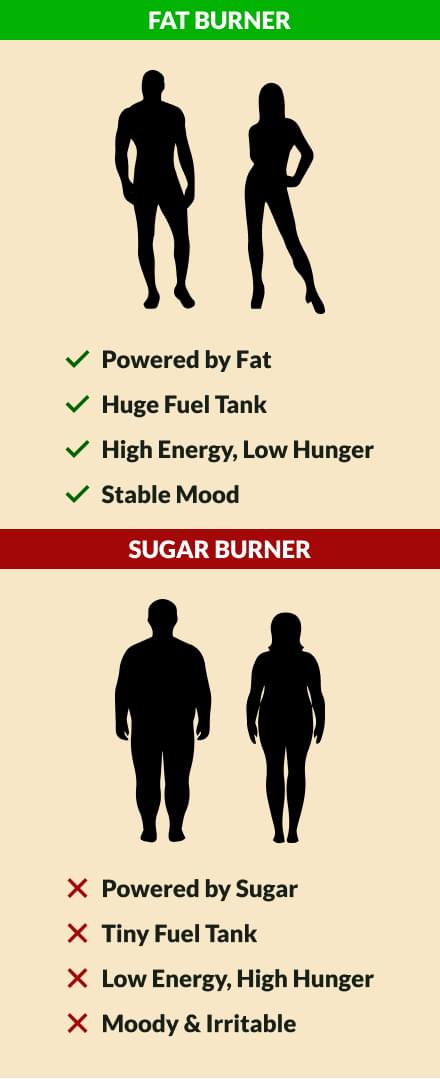 Fat Burner & Sugar Burner.